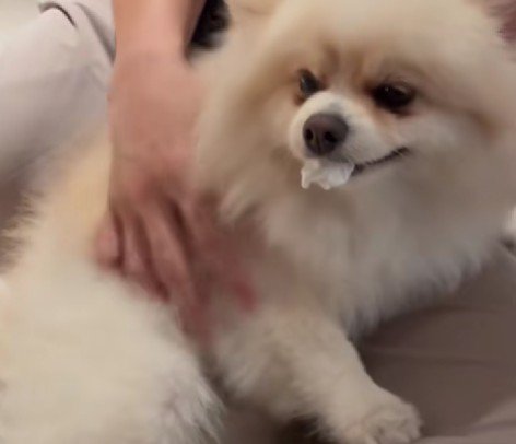 使用済みティッシュをパクリ