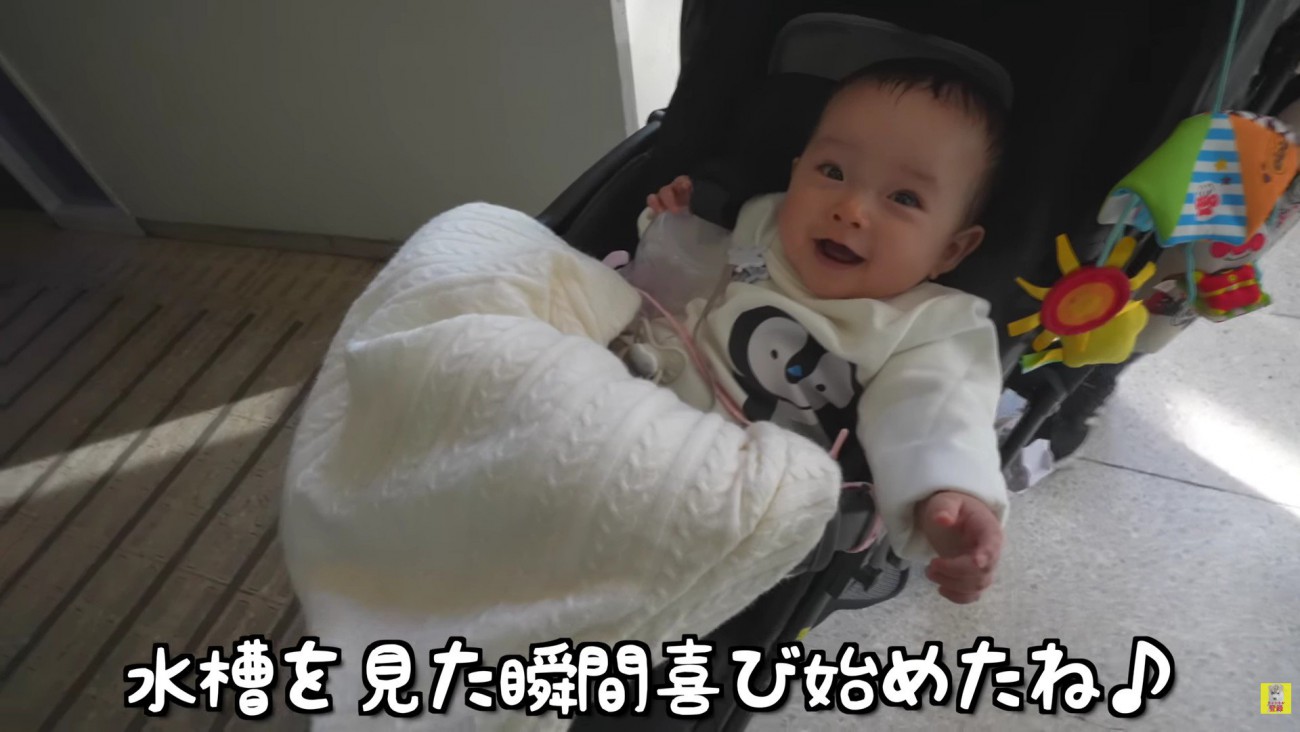 初めての水族館に興奮しきり