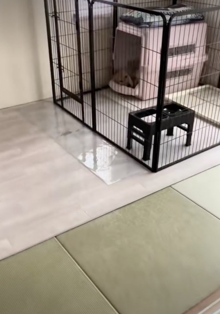 お出迎えは…？