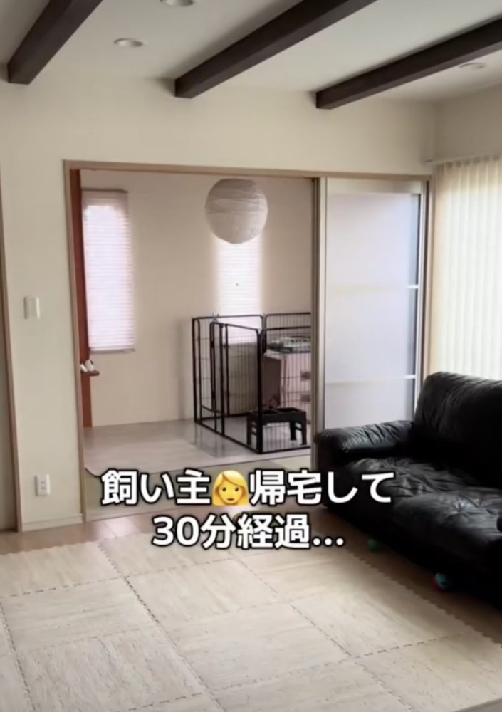 時間がたったけれど…