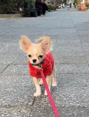 チャームポイントは見せたいね♪