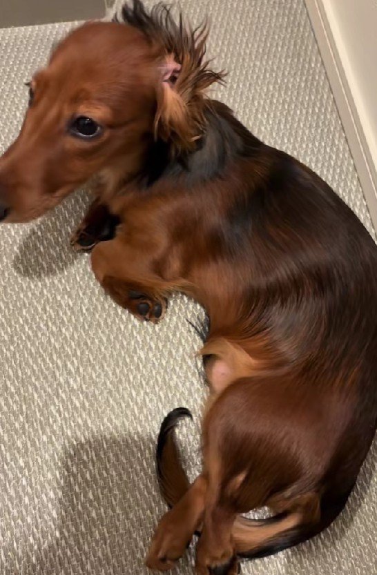 元気いっぱいの男の子