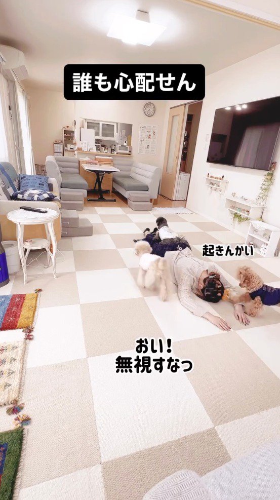 床にうつ伏せになっている飼い主を取り囲む3頭の犬