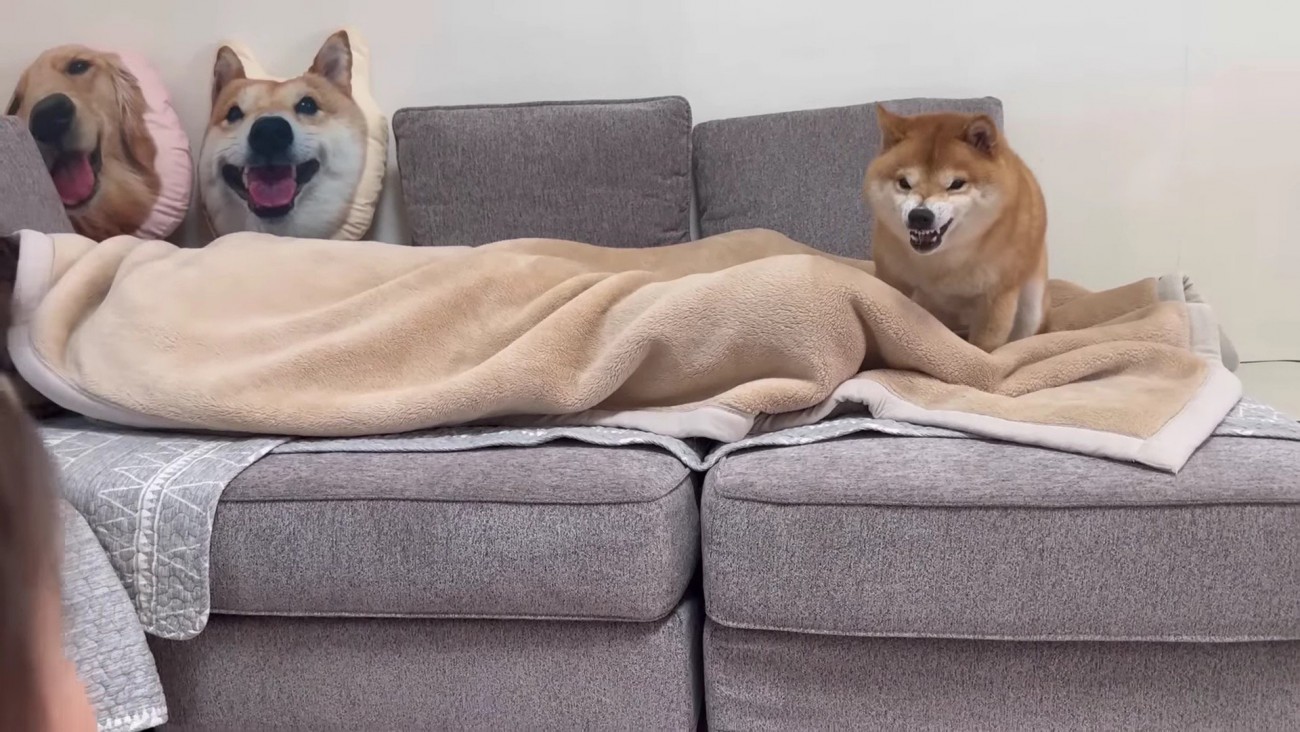 ほのちゃんに怒るうにくん