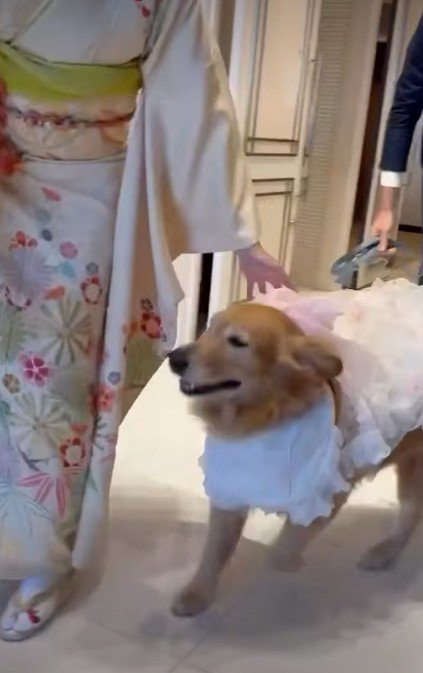 「来てくれてありがとう！」