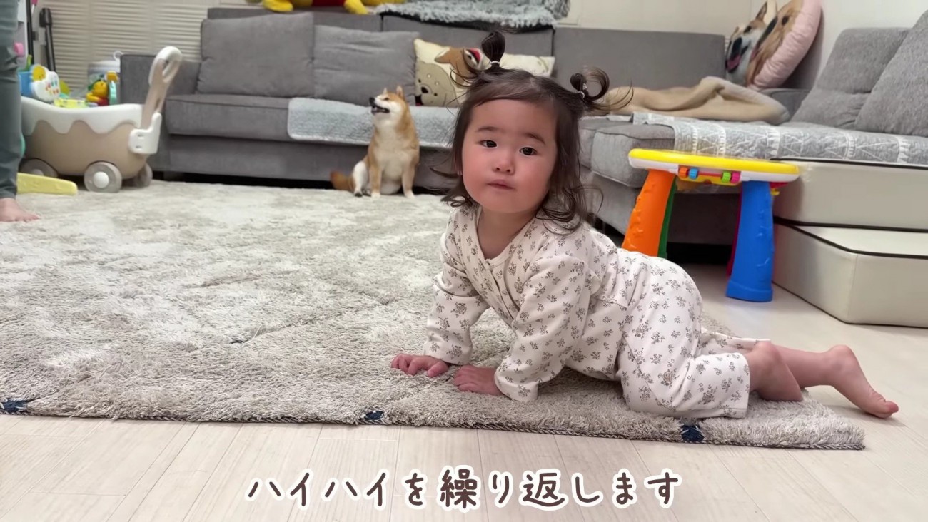 ハイハイにハマっちゃった♪