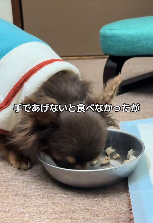 テープくんの変化7