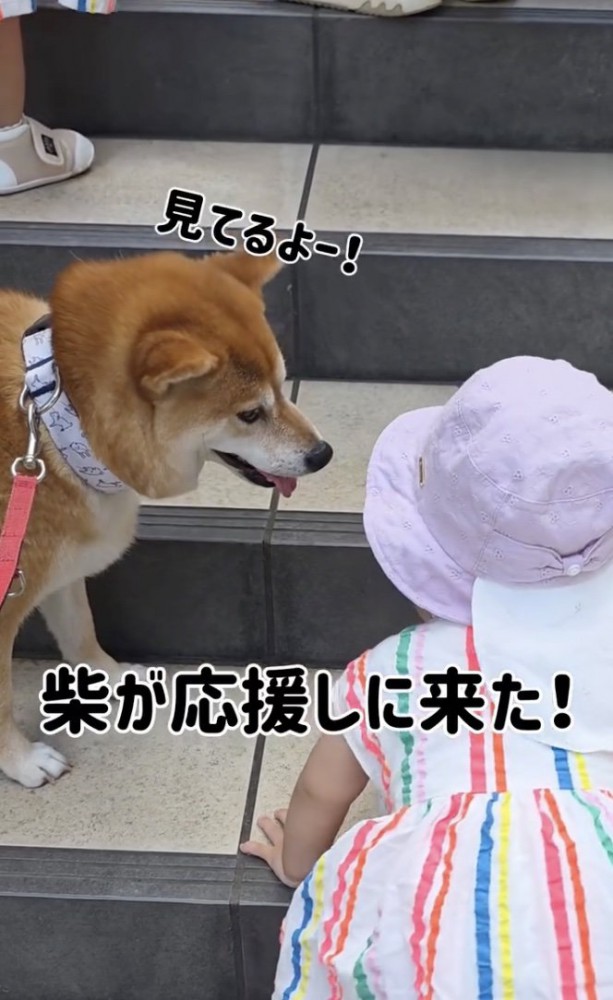 「がんばれぇ」