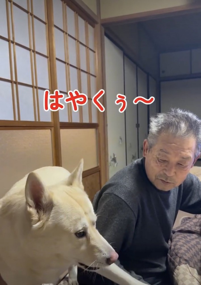 強めに手をタッチ