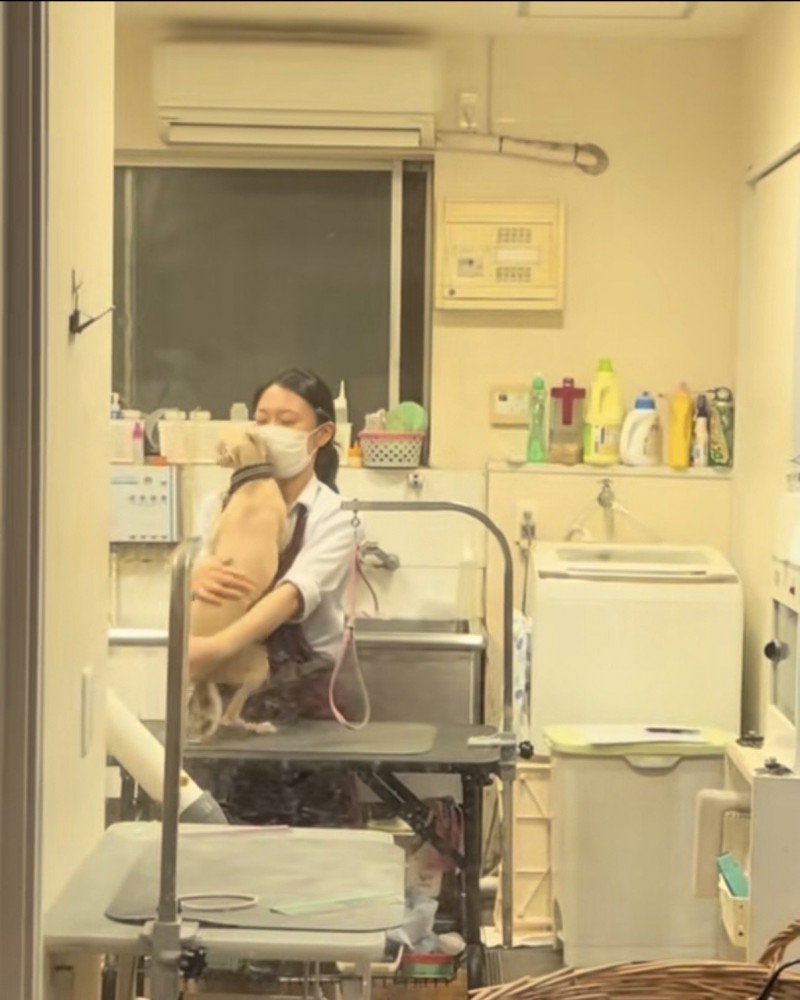 お姉さんにギュっとハグされるイタグレ