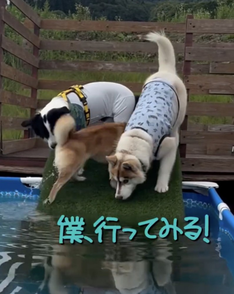 やる気しかないうみくん