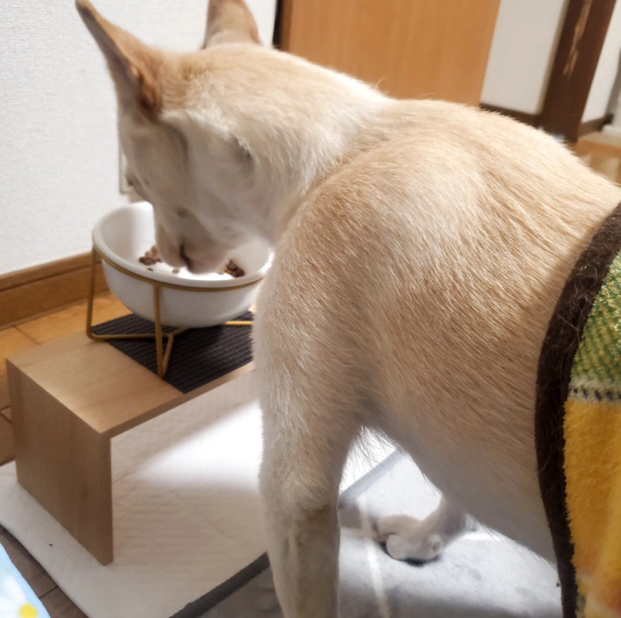 横着する姿も可愛い（笑）