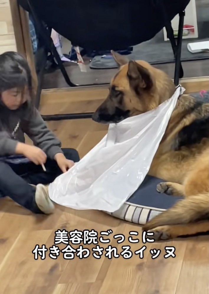 着々と進む準備