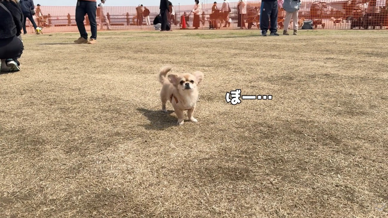 ぼーっとして休憩中