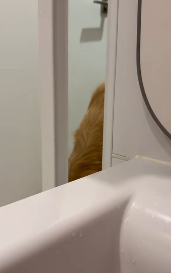 落ち込むドドくん