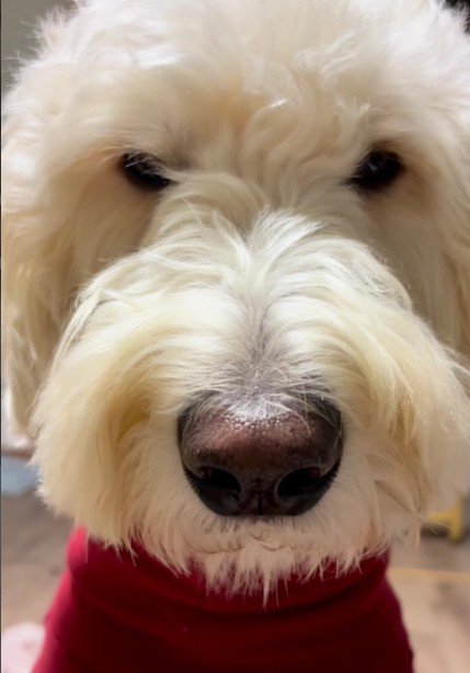 想像を超えるほどの迫力！