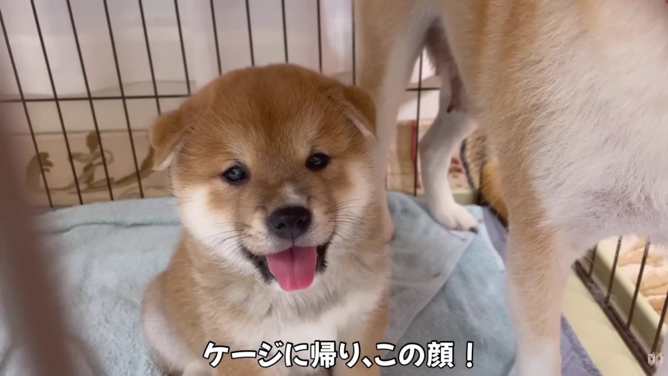 「あ～面白かった！」