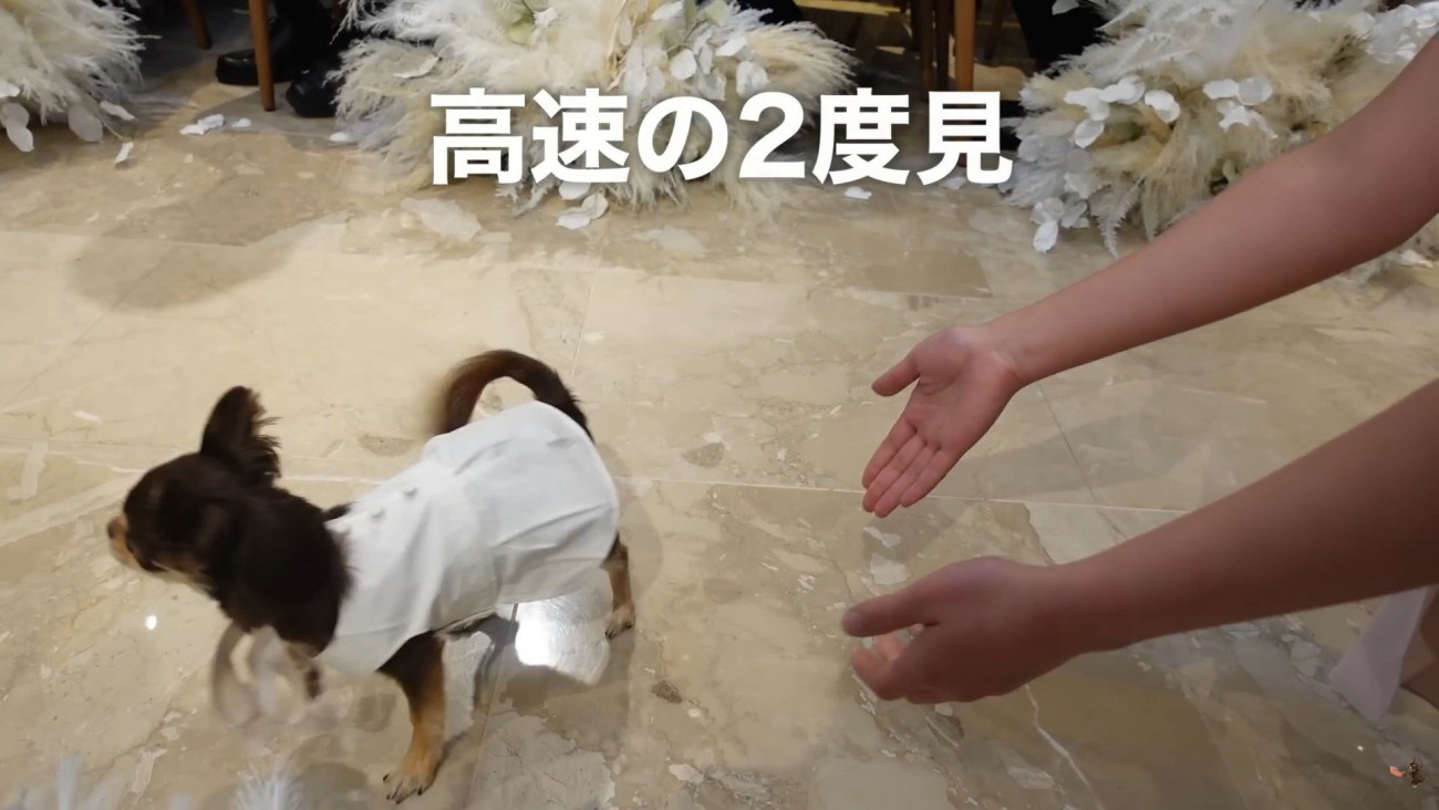 やっと2人を発見！