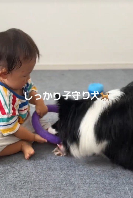 一緒に遊ぶヒマちゃんと赤ちゃん