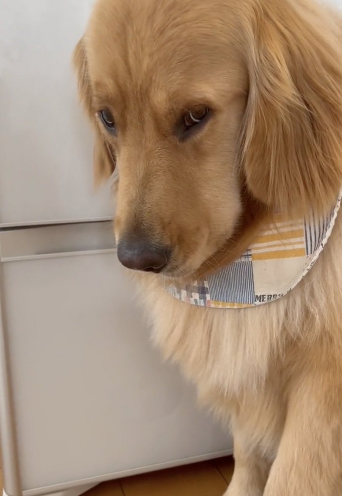 がんばろ！病院！！