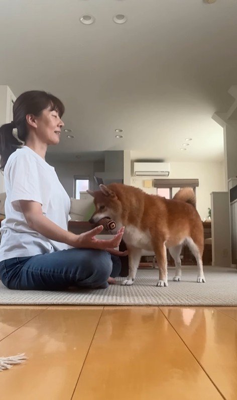 瞑想を邪魔する野々花ちゃん5