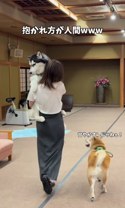 対照的な2匹が可愛い♡