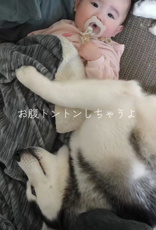 諭吉くんと赤ちゃん5