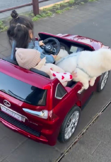 幸せな家族のひととき