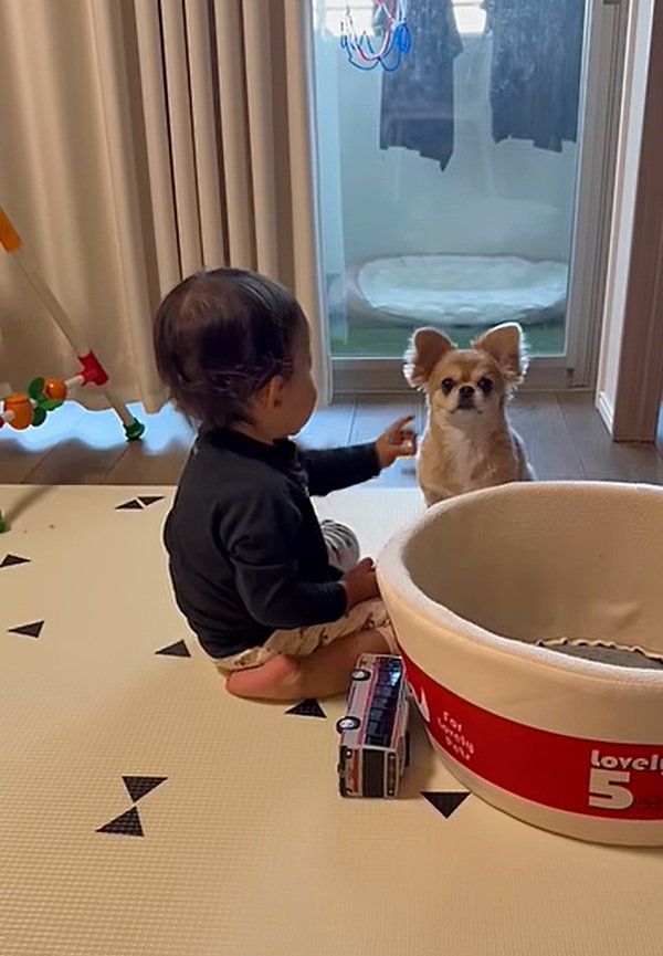 手を差し出す弟くん