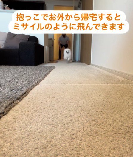 「ママ～！！！」