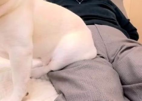 エルモくんとおばあちゃんの日常2