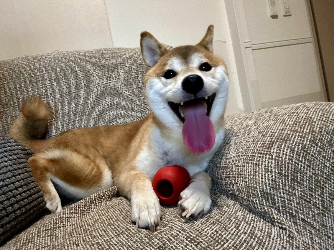 いそべ君の日常2