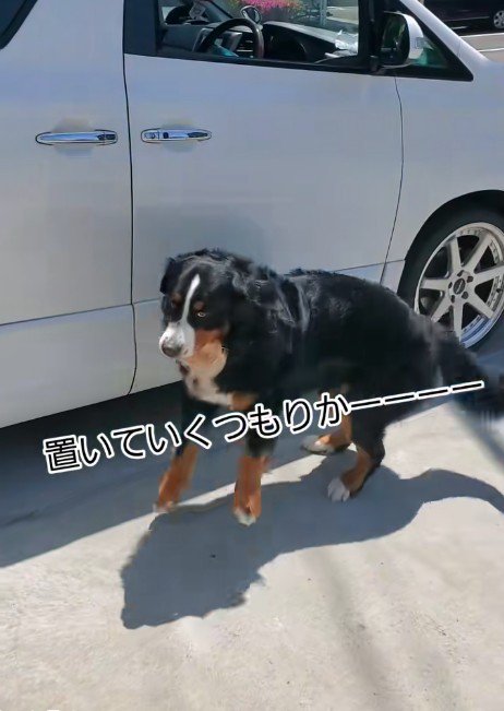 急にその場を離れていった