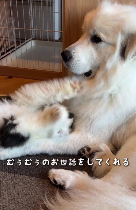 優しい表情にホッコリ…