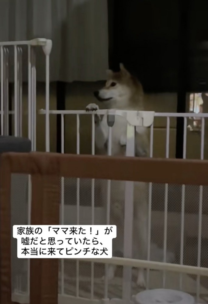 「告げ口しやがったなっ」