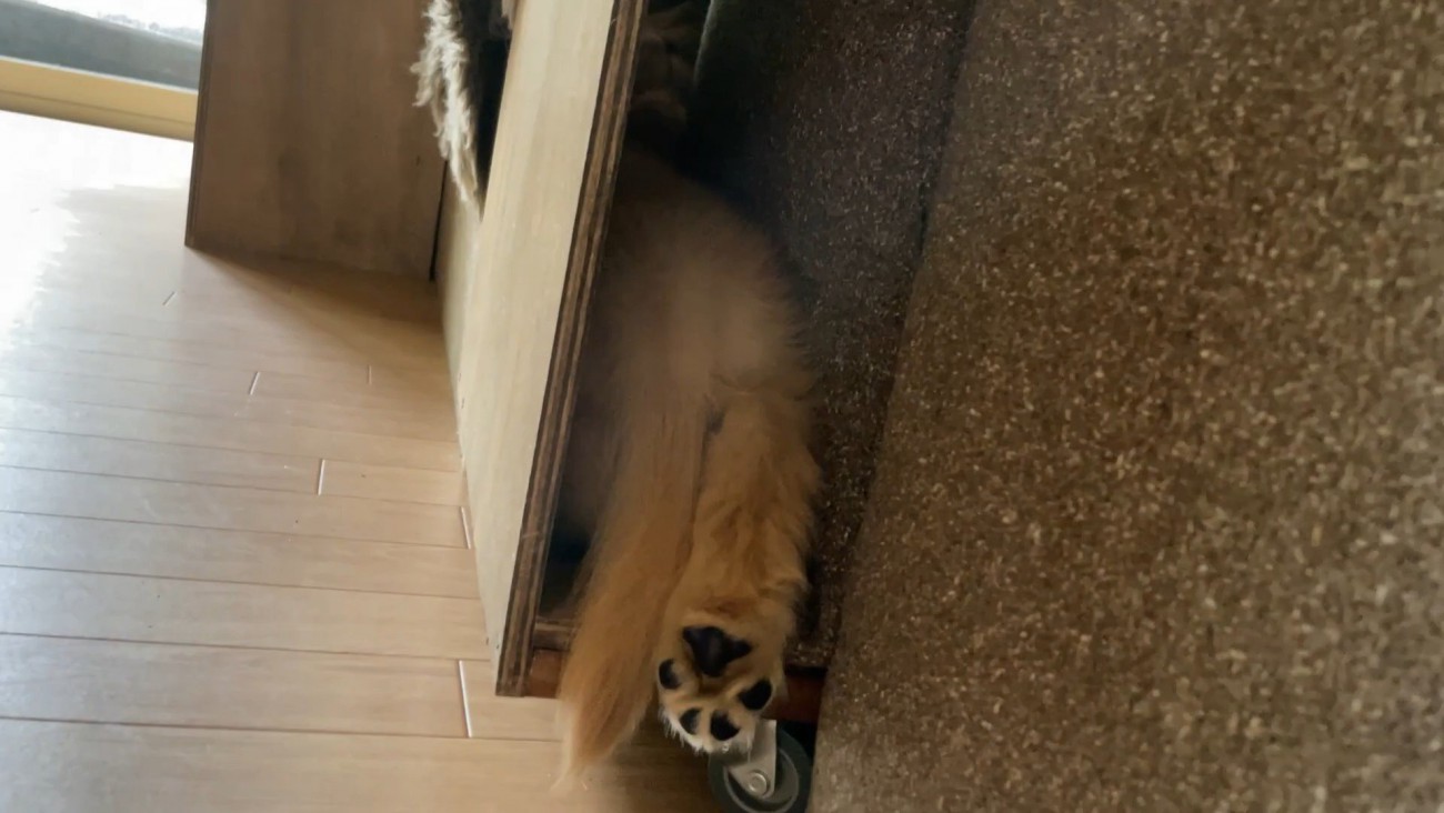 隙間にすっぽり！