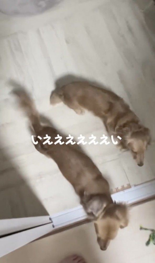 いつも前向き！！