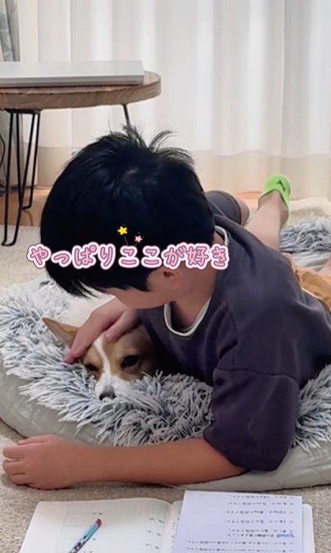 宿題中の男の子とココちゃん9