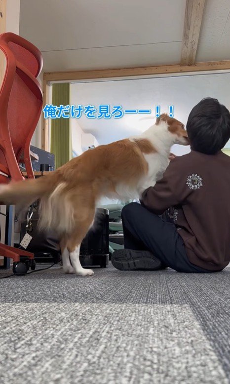 ラスカルくんの構って攻撃2