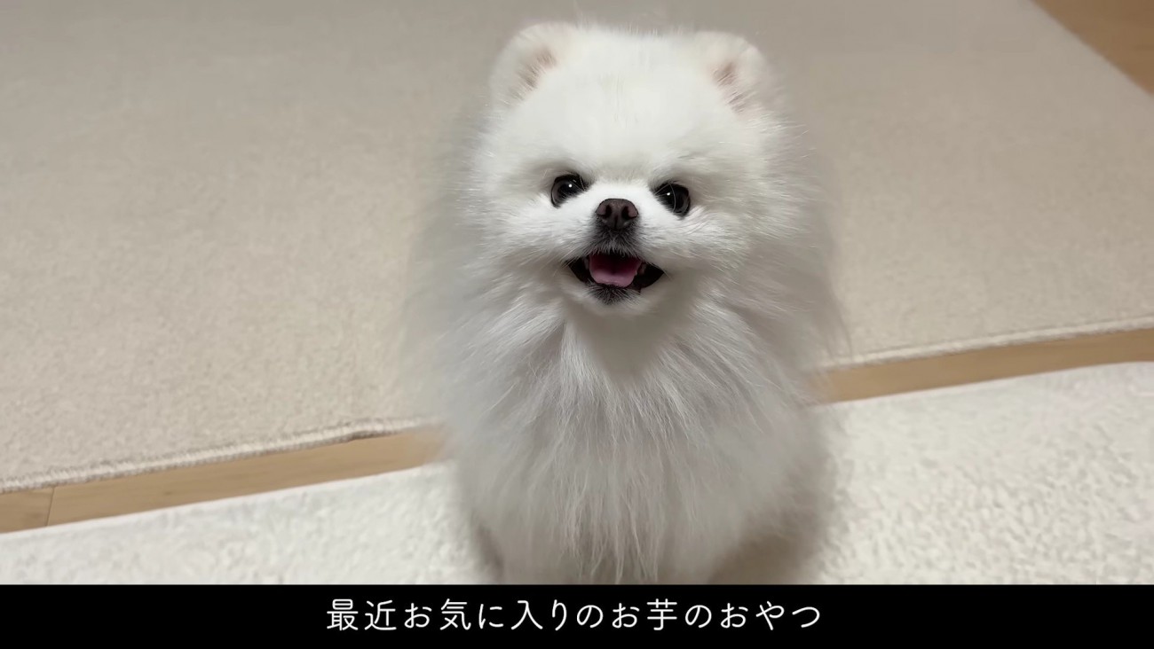 お芋をあげることに