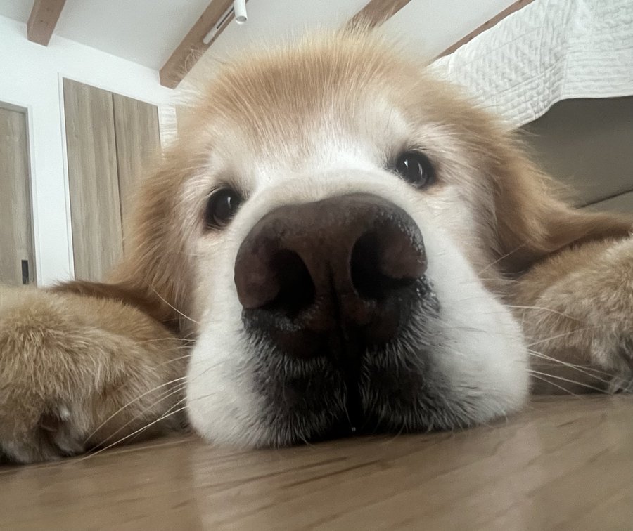 赤ちゃん