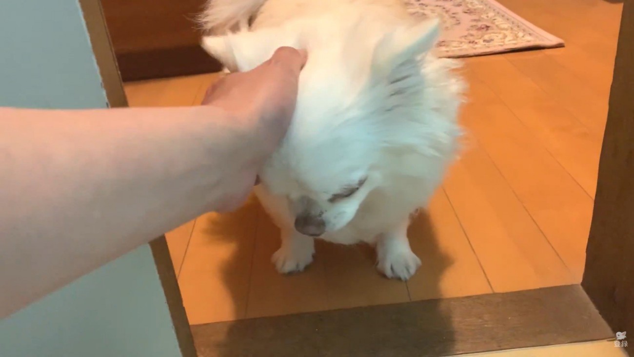 大人しくなった後は甘えん坊モード
