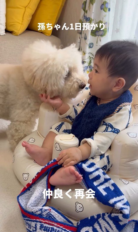 孫を預かった時のチャイちゃん