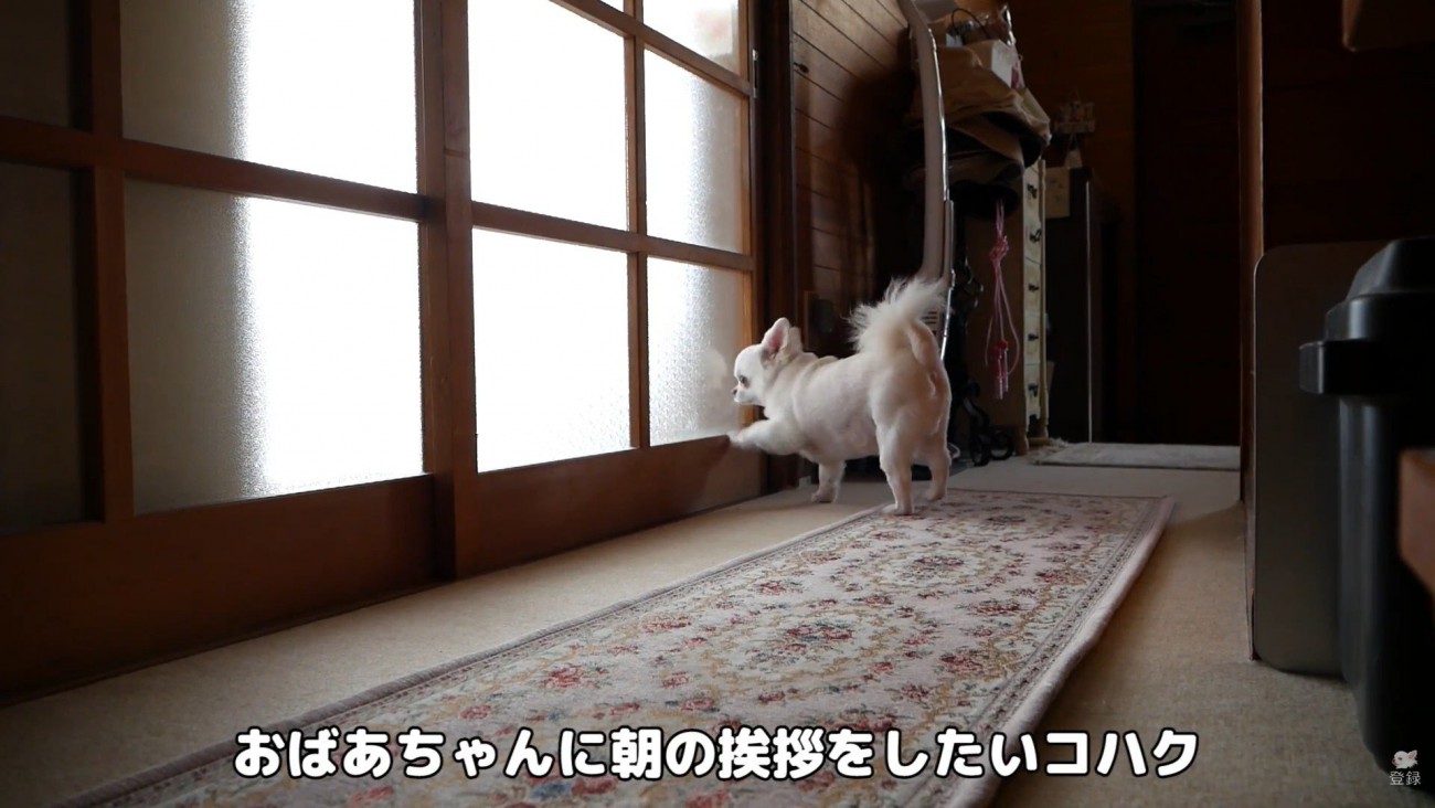 控えめにノック