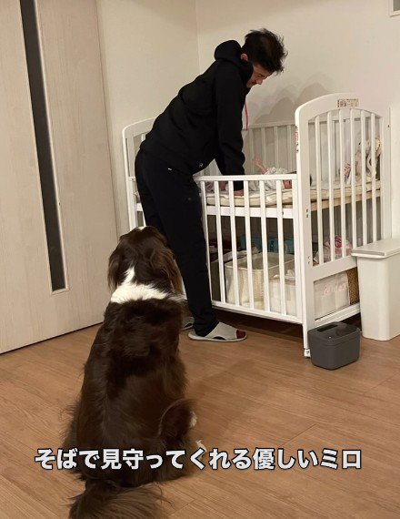 優しく寄り添う