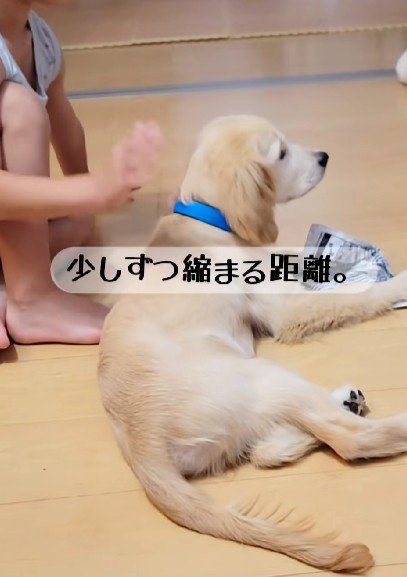 少しずつ警戒心が和らいだ