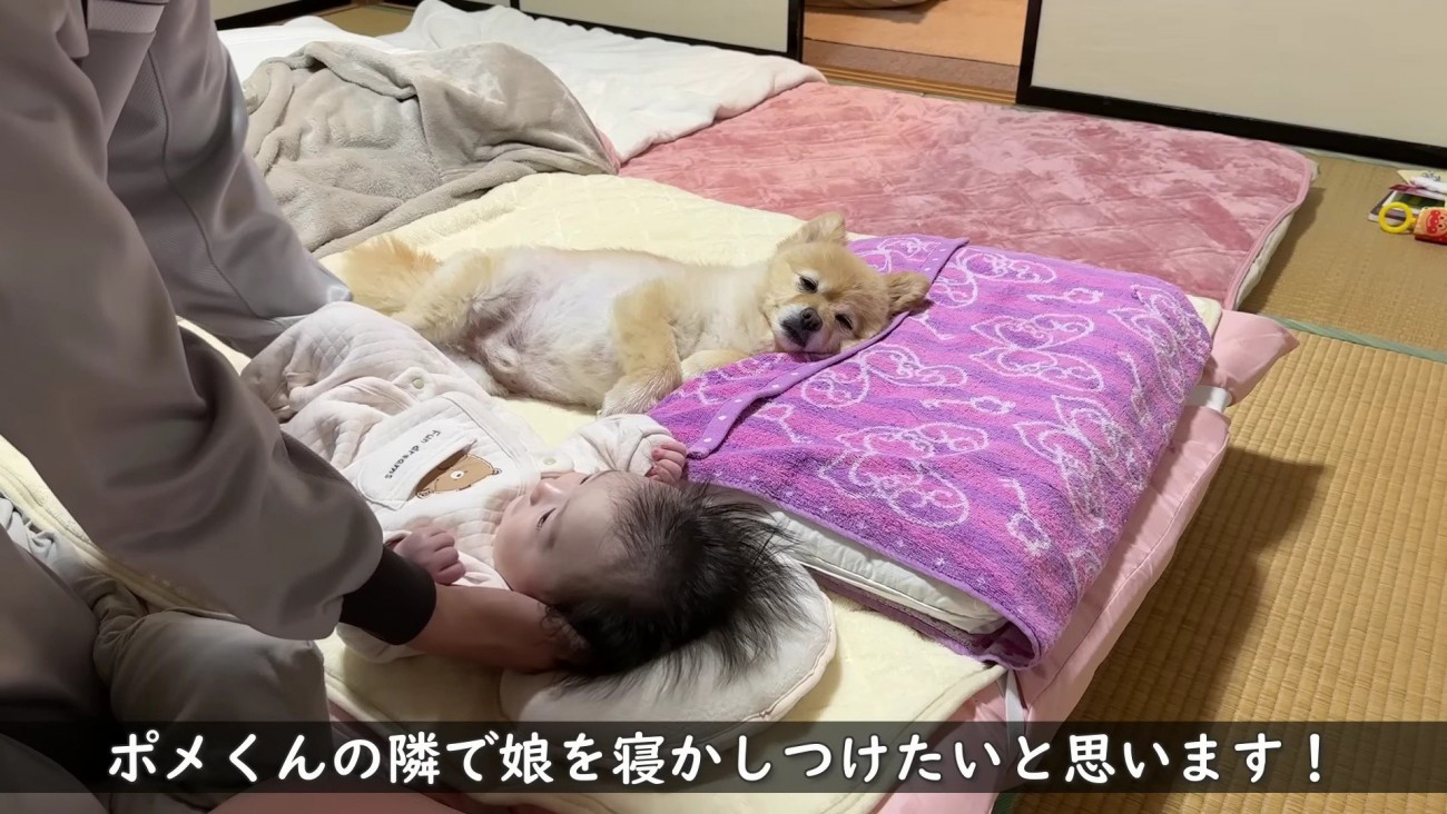 赤ちゃんを寝かしつけ！