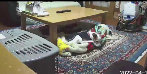 大好きなお母さんが入院