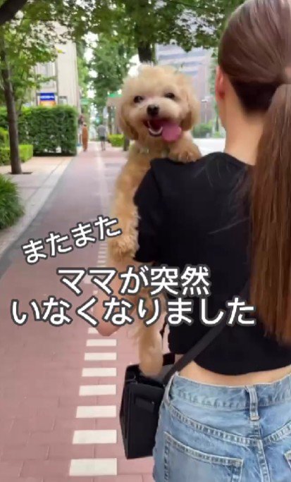 ママが急にいなくなった