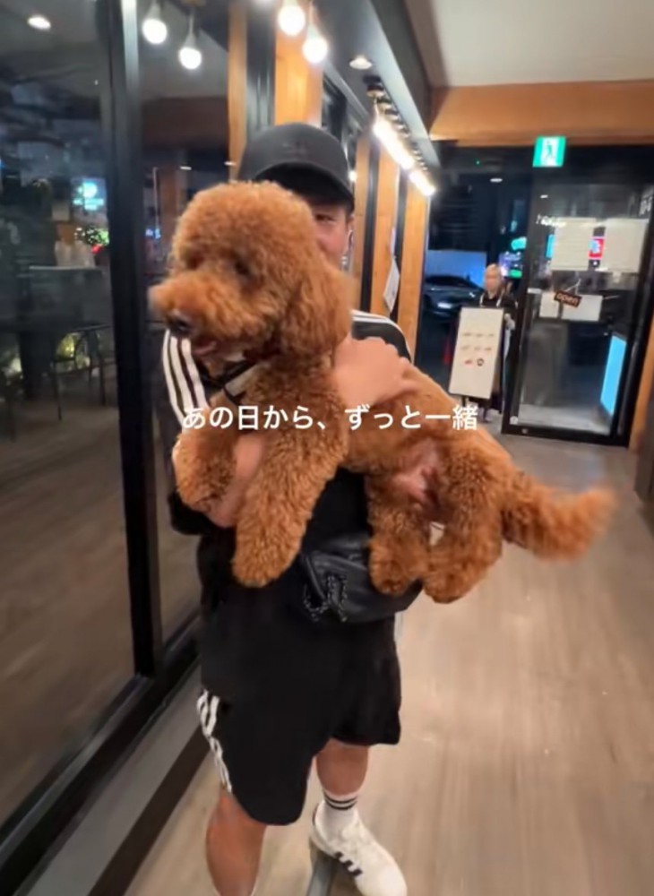 抱っこされて嬉しそうな犬